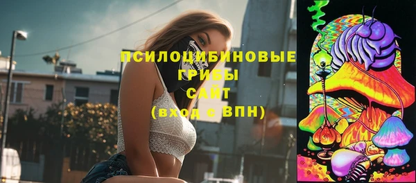гидропоника Бабаево