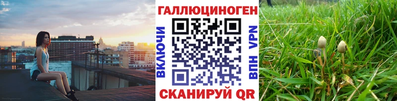 Галлюциногенные грибы Cubensis  купить наркотики сайты  Краснотурьинск 