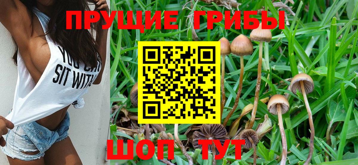 Галлюциногенные грибы Cubensis Краснотурьинск