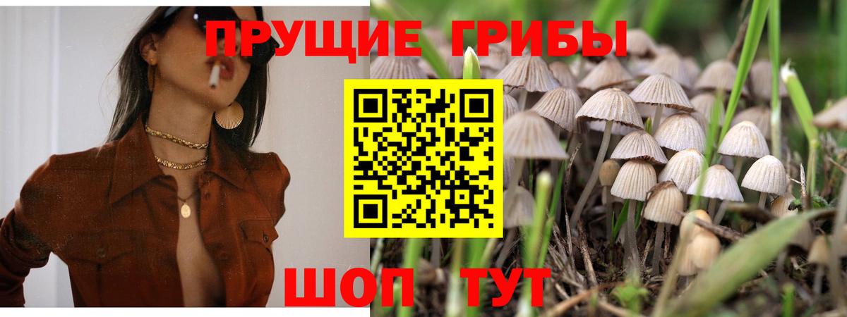 Галлюциногенные грибы Magic Shrooms Краснотурьинск